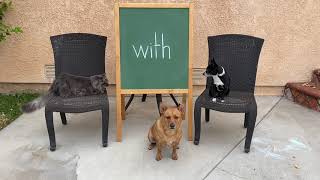 Professor Ginger, Axle, and Hanny and the Word With