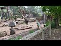 Seneca park zoo july 2022