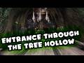 Entrance through the Tree Hollow | Swamp Base | Conan Exiles