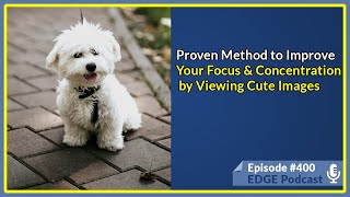 Improve Your Focus and Concentration by Watching These Cute Images