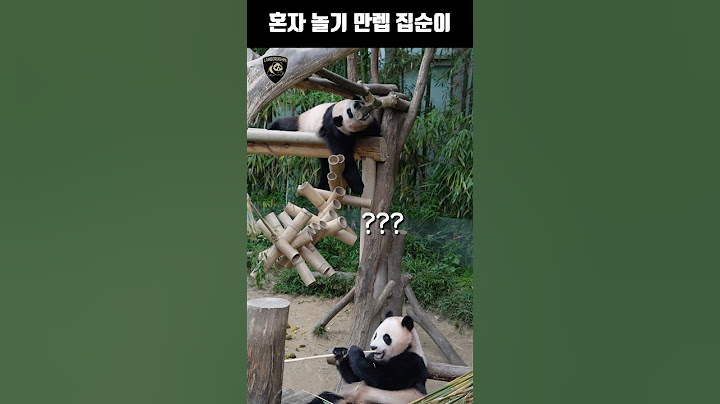 집순이 루이바오, 혼자서 이렇게까지 논다고요? #ruibao #睿宝 #baofamily #바오패밀리 #루이바오 #집순이판다 #cutepanda