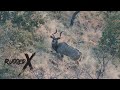 63” Greater Kudu Hunt