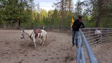 Cayenne Picking Me Up Off The Fence
