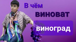 Как виноград поможет при подагре, макулодистрофии и сахарном диабете.
