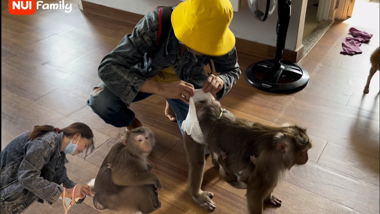 Mom washes Nui's butt because Nui's butt is dirty and smelly | Nui Family