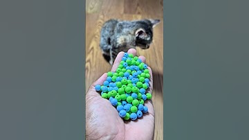 cat 😼 reverse beads magic #shorts #cat #asmr #satisfying