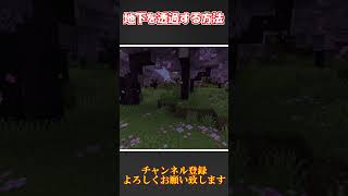 【マイクラ 統合版】1.20最新版で地下を綺麗に透過する方法！サバイバルモードでスペクテイターモード！？【マインクラフト裏技・小技】　shorts