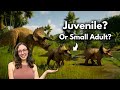 Dinosaur Fossil Interpretation Quiz