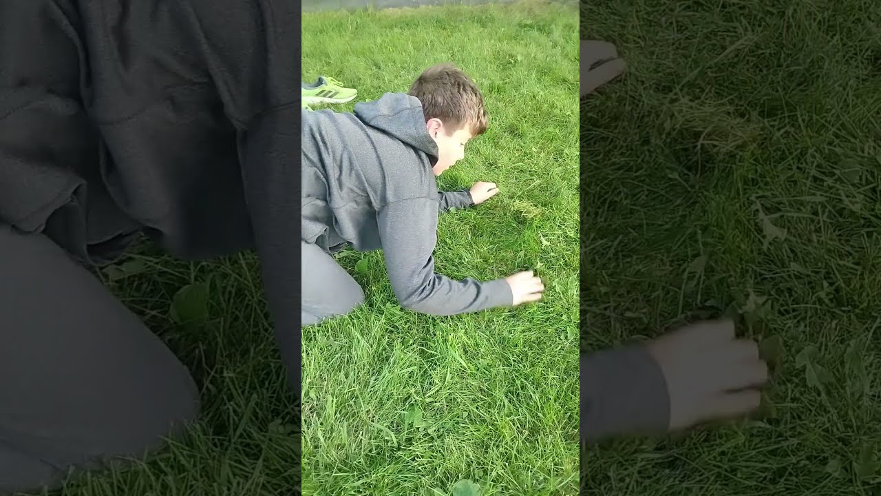 fictioness episode 2  the forms of man