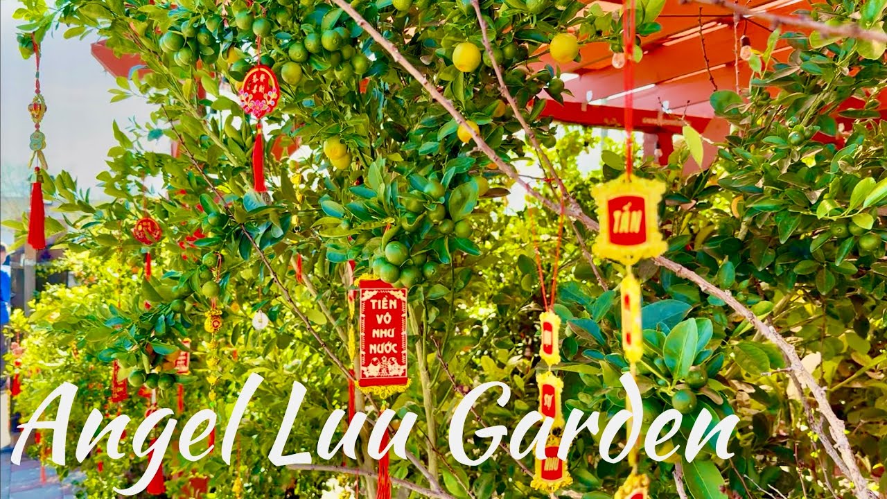 Khám Phá Vườn Trái Cây Của Angel Luu 