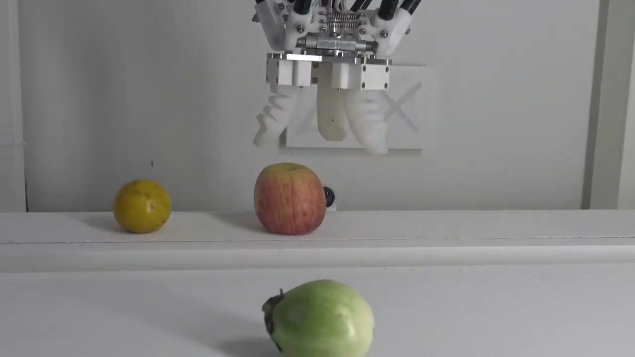 Delta X S D800 robot uses a DIY soft gripper to pick up fruits.