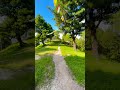 Greenaffect with early morning Motivation for walking #travel #nature #love #naturevibes #naturelove