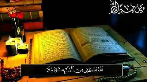تلاوة بصوت زين خير الله