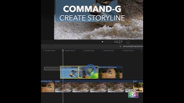 Final Cut Pro Shortcut | Command-G | Create Storyline