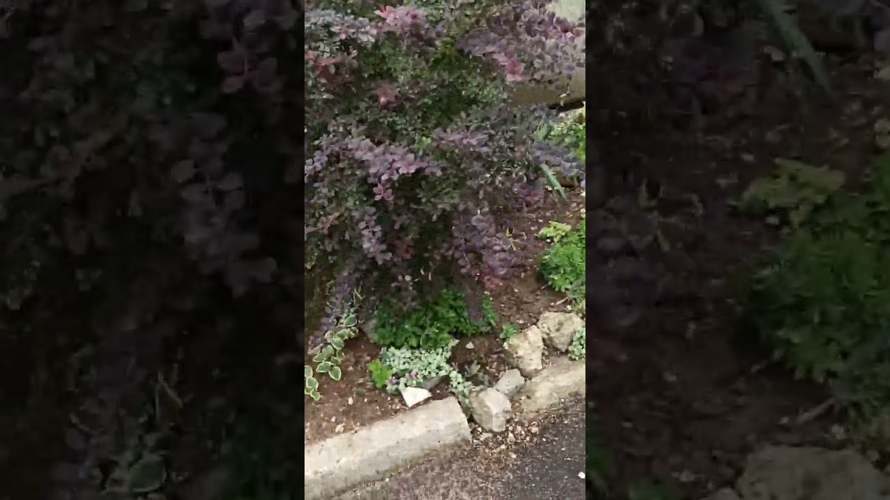 Симферополь. 15:июня