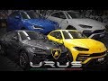 BOGDAN CAPUSAN SI CEI 4 URUSI - CUSTOM TUNING - LAMBORGHINI - TOP CAR - NOVITEC