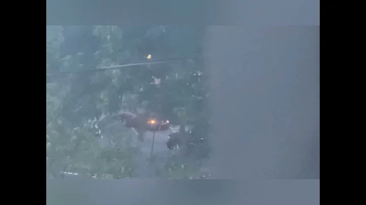 They "know" when you're watching!