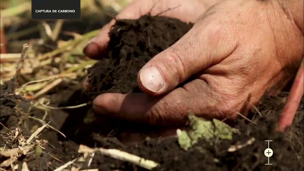 Soil Health (Spanish Translation) - YouTube