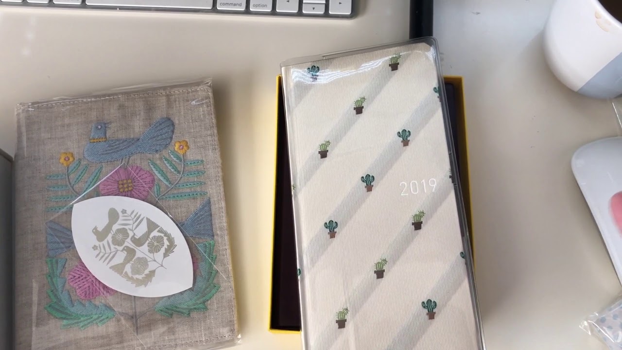 *Not a Bible Revew* Hobonichi 5 Years Diary