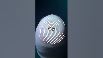 HOW Fingerprint Sensors Work in Your Phone!🔎 📱  #phone #device #Science