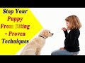 How to Stop Puppy Biting - 8 Ways to Stop Puppy Biting How to Stop Puppy Biting - 8 Ways to Stop Puppy Biting