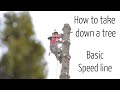 How we take down a tree #1 : Tree removal using a basic speedline