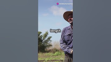 5 manieren om het noorden te vinden zonder kompas #buitenleven #overlevingsvaardigheden