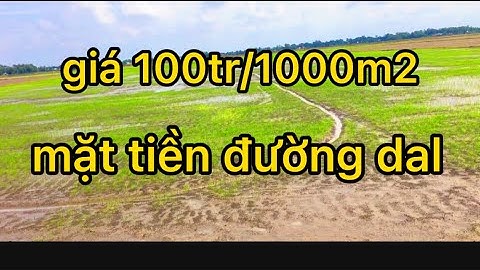 cần bán gấp đất ruộng mặt tiền đường dal,giá 100tr/1000m2 , Huyện Gò Quao ,kiên Giang