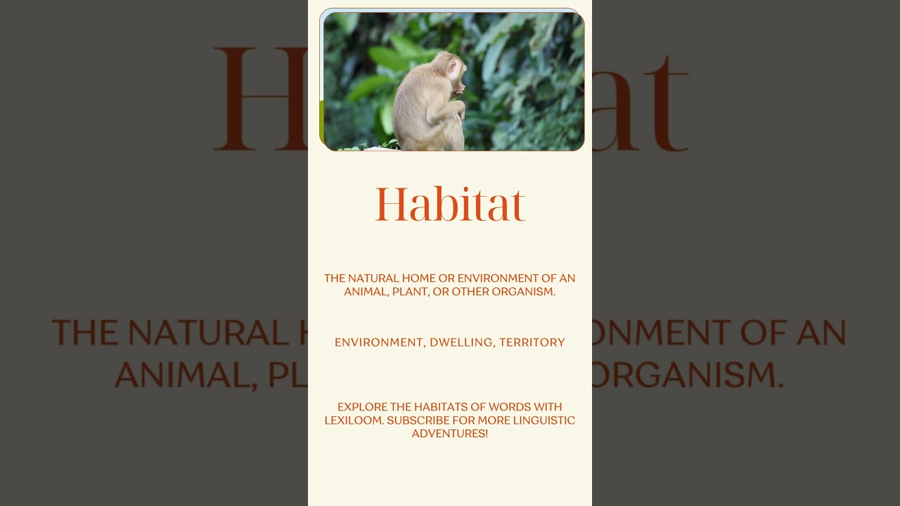 "The Lexical Atlas: Mapping the Terrain of Language with Lexiloom!" (Habitat) t explanation)