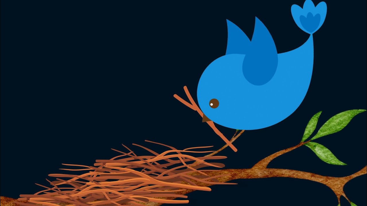 Blue Bird's Nest - A Baby Sensory Video