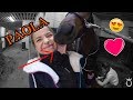 HEUTE HOLEN WIR SIE AB! ♥ | NEUES PONY KAUFEN?! | Teil 2 | Marina und die Ponys