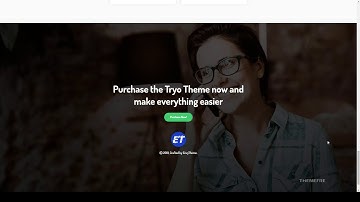Tryo - Banking and Payment WordPress Theme bank transfer credit card company Yuka