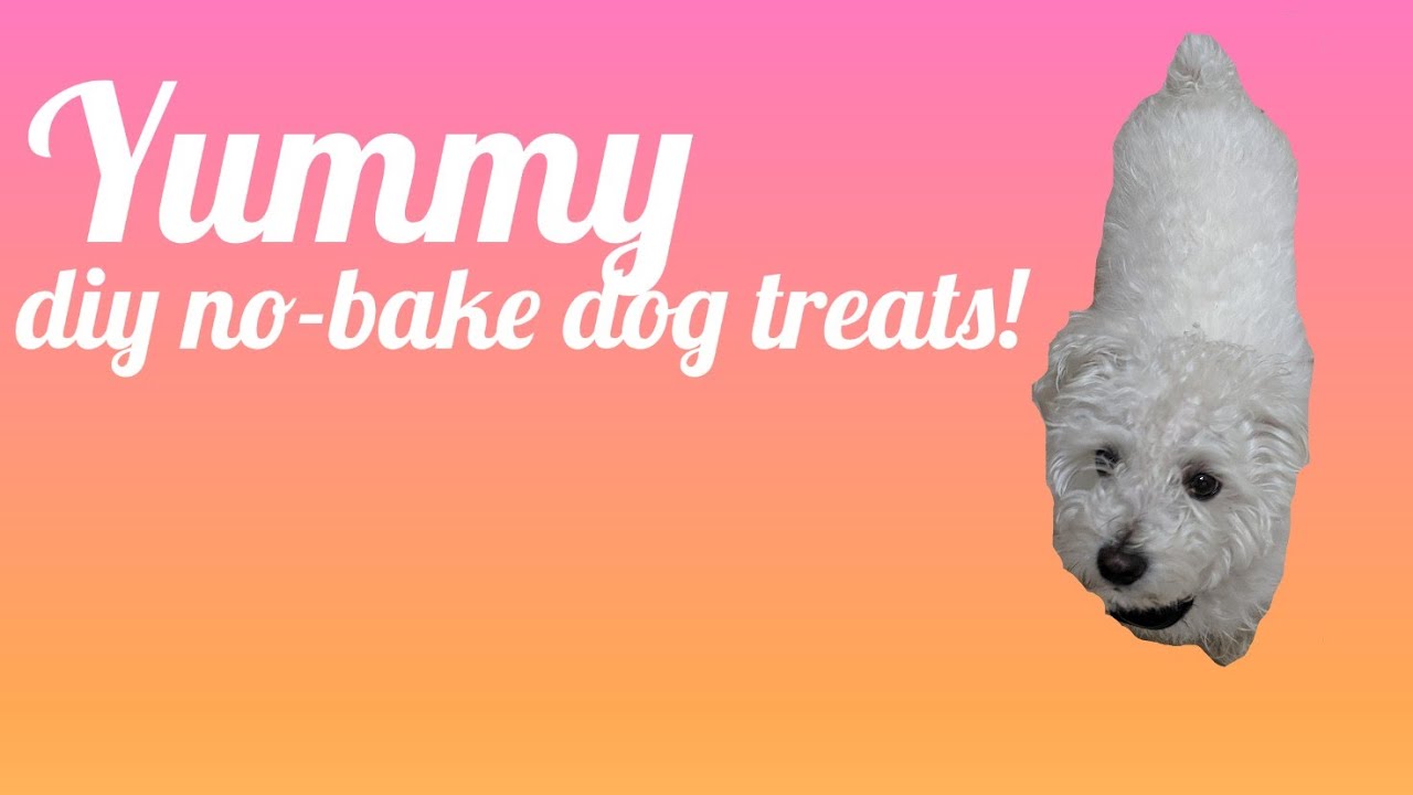 How to Make Easy No Bake Dog Treats! YouTube