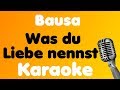 Bausa • Was du Liebe nennst • Karaoke