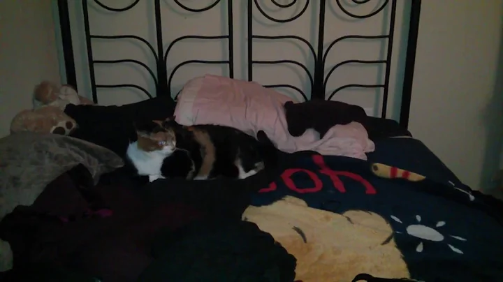 BABY KAELY EW Cover by Jimmy Fallon & will.i.am 10yr OLD KID RAPPER