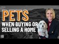 Pets!!! When Buying or Selling a Home!  Audra Lambert 2024