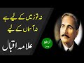        نہ تو زمیں کے لیے ہے نہ آسماں کے لیے علامہ اقبال