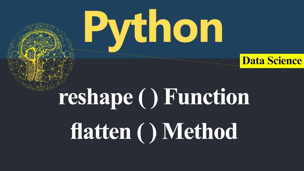 Flat python