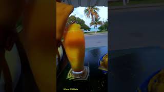 Enjoying a Landshark in Corozal Belize