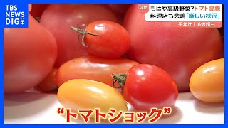 【もはや高級野菜？トマト高騰】料理店も悲鳴　背景に熊本の“記録的な大雨”｜TBS NEWS DIG