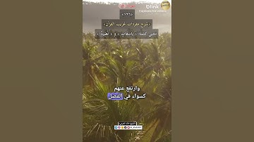 معنى كلمة: (باسقات) ١٢٦-شرح مفردات غريب القرآن ،سورة ق ،الشيخ خالد الحرمي.