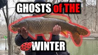 Carp Fishing in the Winter- Almost impossible 2025-2026