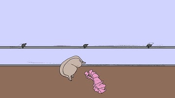 The Dancing Flour Sack