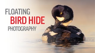 FLOATING BIRD HIDE PHOTOGRAPHY  Capturing Rare and Dramatic Bird Action