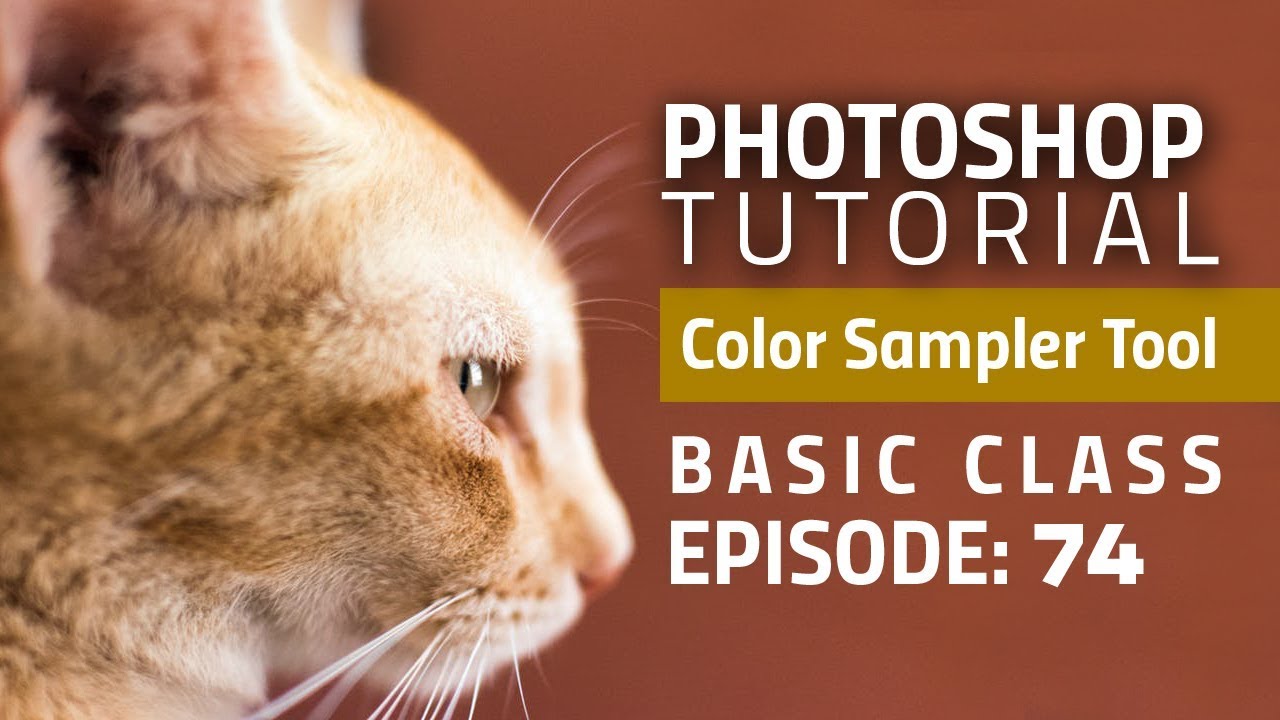 photoshop colorize tool photoshop colorize tool