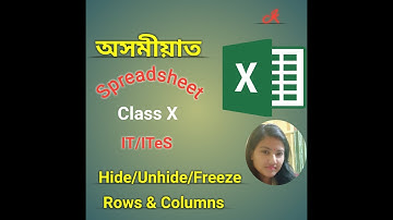 Hide/Unhide/Freeze Rows & Columns in MS Excel | Spreadsheet | Class X | NSQF | Level 2