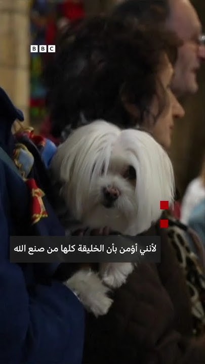           
 - نشر قبل 28 دقيقة