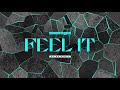 Miniature de la vidéo de la chanson Feel It (Avira Remix)