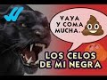 Los celos de mi negra