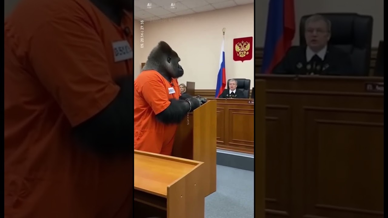 Вердикт - виновен 